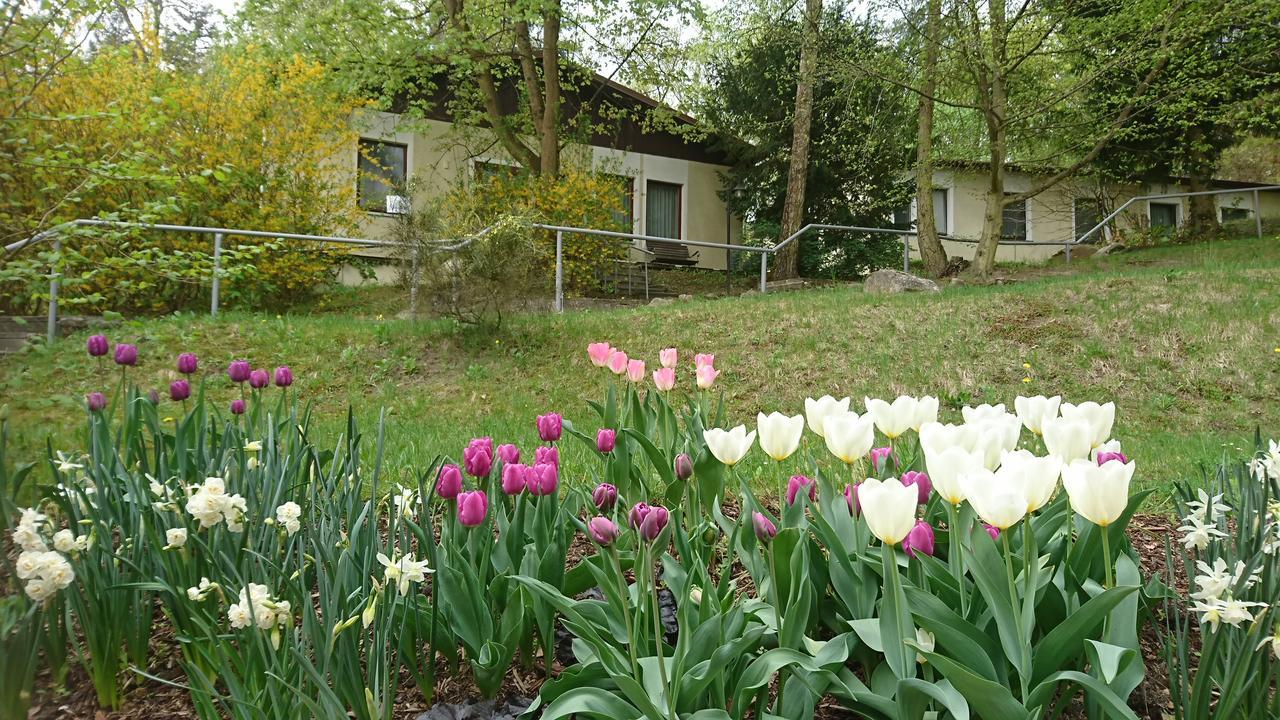 Gaestehaus Chorin Extérieur photo